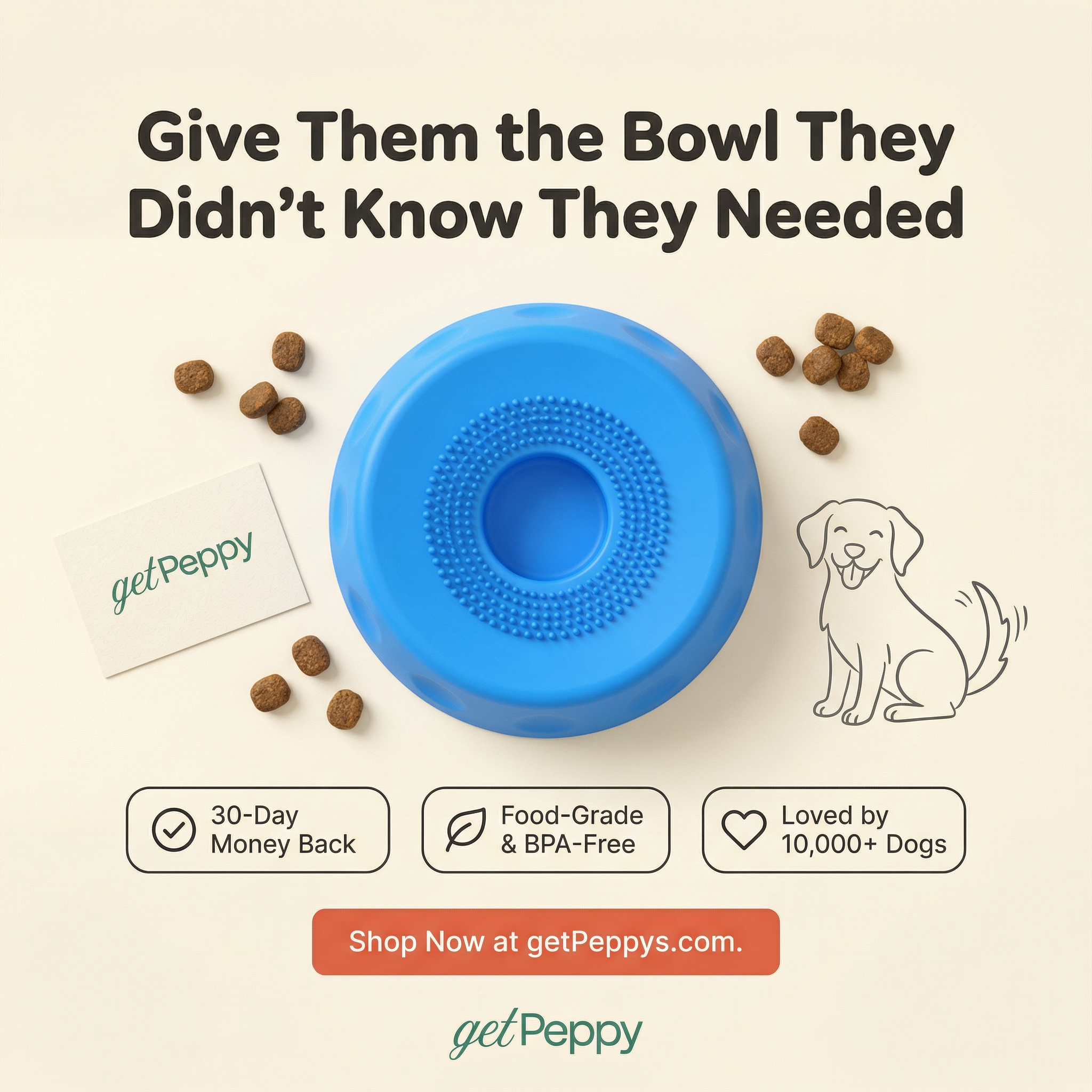 Slow Feeder Dog Bowl