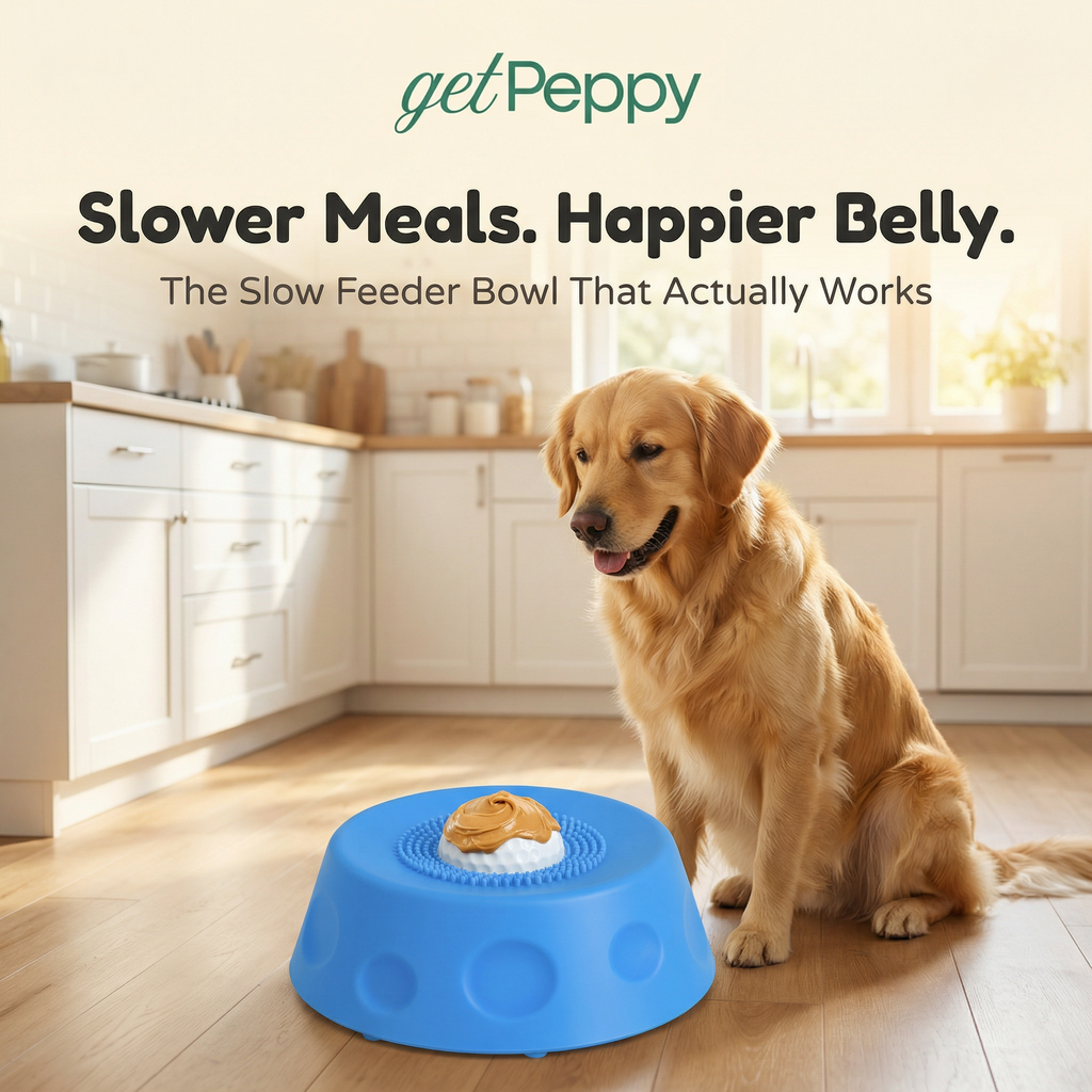 Slow Feeder Dog Bowl